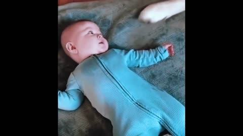 Dog tickles baby to make him giggle