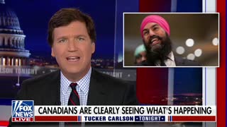 Tucker Carlson destroys Jagmeet Singh for smearing truckers as racists