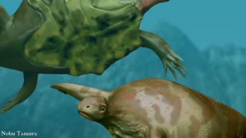 The Evolution of the Sea Turtles