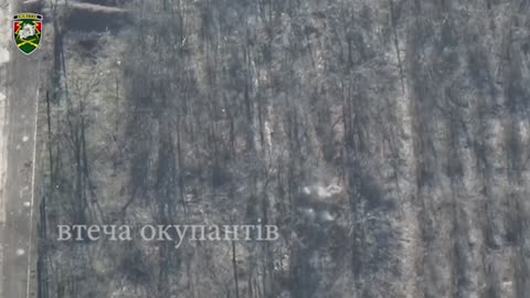 Ukrainian Paratroopers Destroy Russian Reconnaissance Unit Near Bakhmut