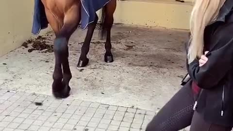 Amazing Dance By Horse: Copying Steps