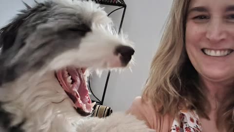 Hugs with Jackson Extraordinaire the Sheepadoodle dog