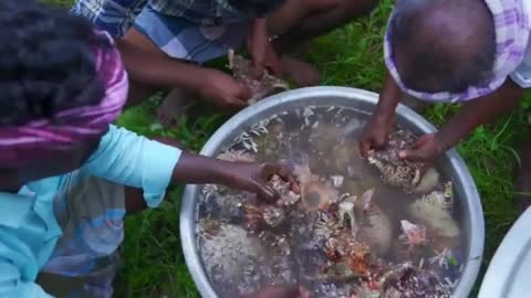 Use nearly 100 conchs to cook seafood curry dinner