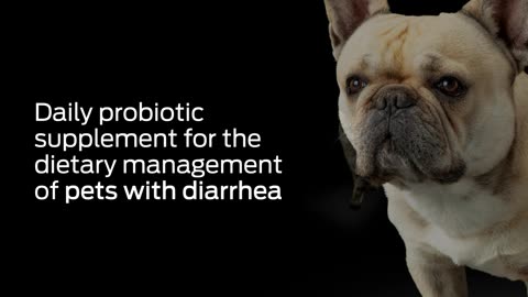 Purina Pro Plan Veterinary Supplements FortiFlora Dog Probiotic Supplement,