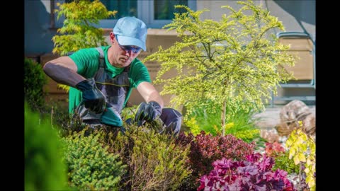 Sprout Landscaping - (432) 274-5882
