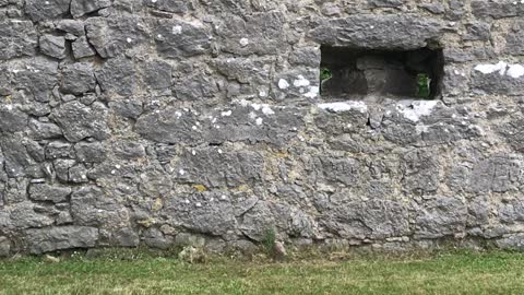 Historian Gives A History On Old Castle