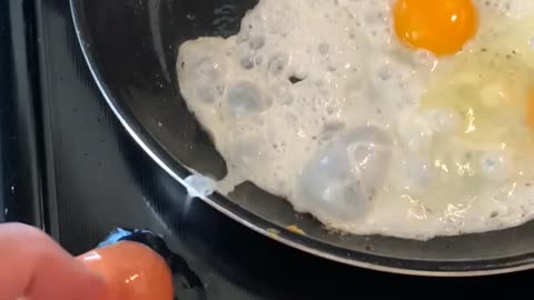 Cracking into Egg-Ception