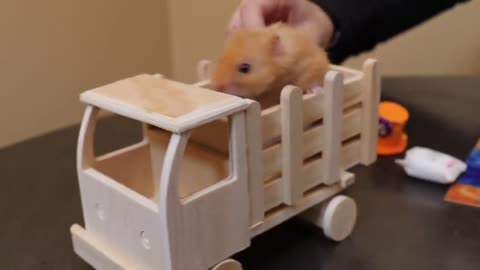 Making tiny things for your hamster