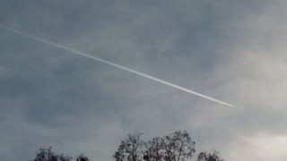 CHEMTRAILS KILLING US SOFTLY