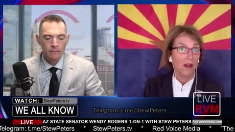 Senator Wendy Rogers UPDATE on AZ Audit: "ARREST THEM ALL"