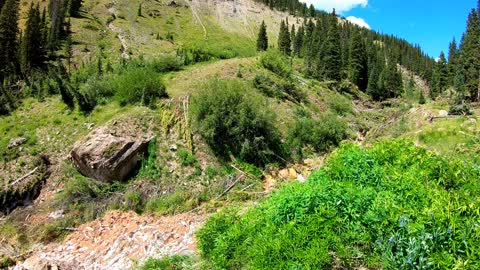 More Avalanche Damage in Colorado