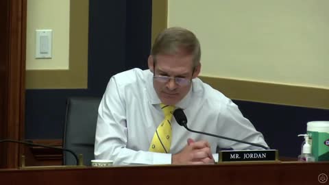 Rep. Jim Jordan DESTROYS Professor of Diversity, Equity, and Inclusion on Critical Race Theory!