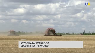 Despite Russia's sabotage, Ukraine continues to supply food for the world