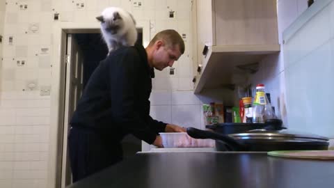 Cat "assists" owner prepare his dinner