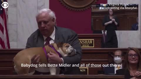 Based Red State Governor Shows Live Bulldog's 'Hiney' During Address, Tells Bette Midler To Kiss It
