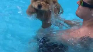 Cachorro y dueño disfrutan de un rato en la piscina
