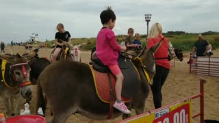 Donkey ride on Skegness beach