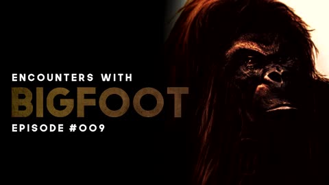 11 ENCOUNTERS WITH BIGFOOT - EPISODE #009