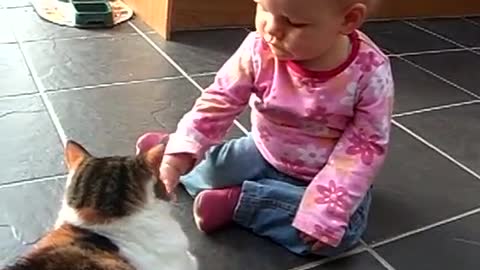 Cat and baby play along well