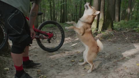 A man training a dog