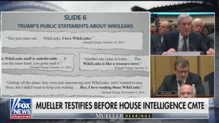 Hearing: Quigley and Schiff question Robert Mueller