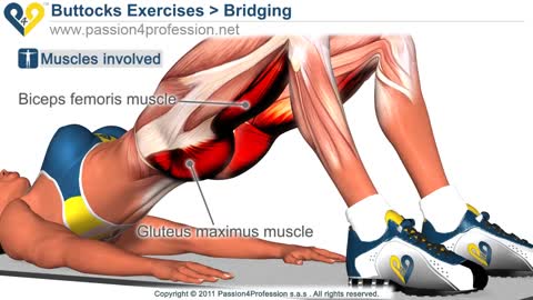 BEST Tone Buttocks exercise - Reduce buttocks and thighs with Bridging exercis