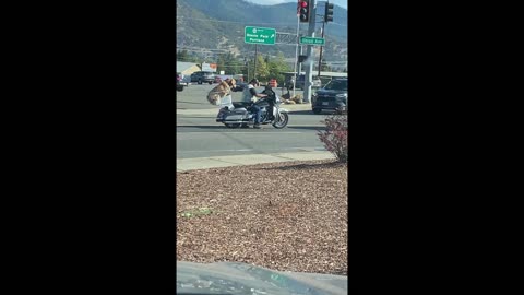 We saw this cute dog riding a Motorcycle while we were out today!
