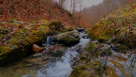 CALMING RIVER FLOWING SOUNDS | Relaxing Running Water Sounds| White Noise for Refocusing & Sleep