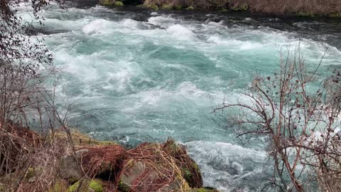 Turquoise Rapids – Metolius River – Central Oregon