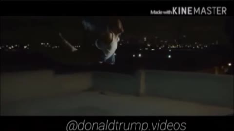 Donaldtramp videos
