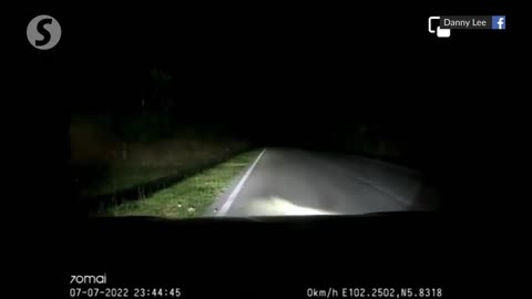 Malaysia: Car rams into tiger on dark Kelantan road | The Star/Asia News Network