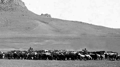 What Ended the Cattle Drive?