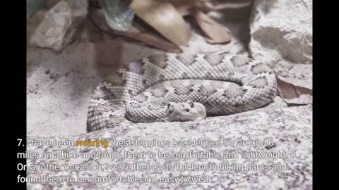 Buyer Comments: ForEverlast Snake Guard - Snake Gaiter Leggings for Men & Women, Guards for Leg...