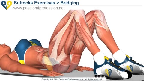 BEST Tone Buttocks exercise - Reduce Buttocks and things with bridging exercise