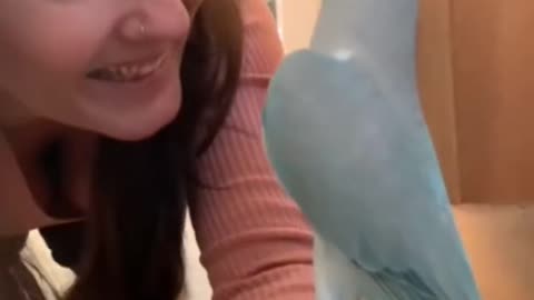 A blue Chicken talking Beautiful Girls