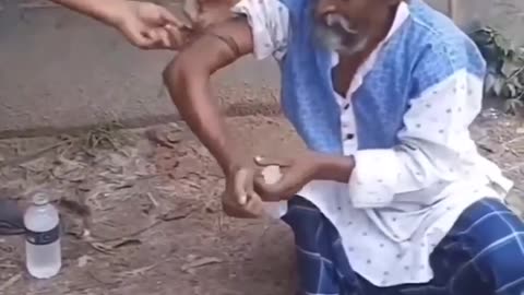 How indians works with cobra’s