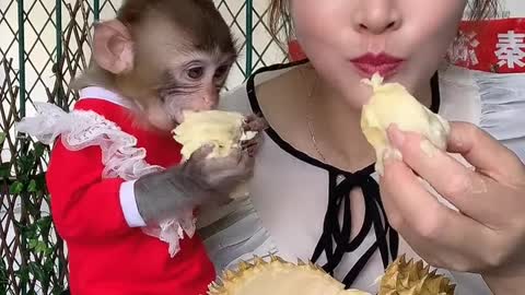 Hôm nay tôi và chú khỉ sẽ cùng ăn 1 trái sầu riêng mới mua