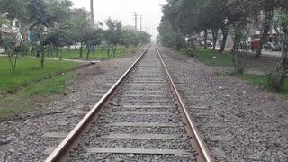 Train railway, surrounded by trees