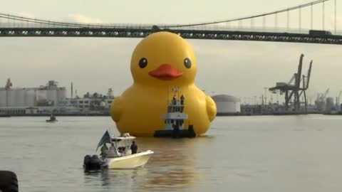 Six-story tall duck floats into L.A. port