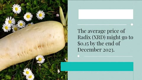 Radix Price Prediction 2023 XRD Crypto Forecast up to $0.17