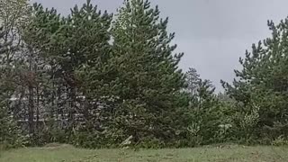 Close Up Tornado Encounter