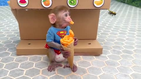 Monkey baby bon bon goes Toilet and plays with the ducklings in the....