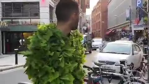 Tree prank at the street so amazing to watch