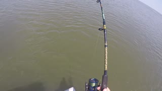 Small Shark Fishing