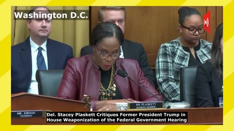 Del. Stacey Plaskett Critiques Donald Trump in House Hearing