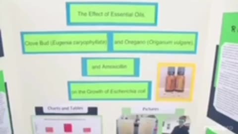 The Effects of Oil of Oregano vs. Amoxicillin on bacteria growth