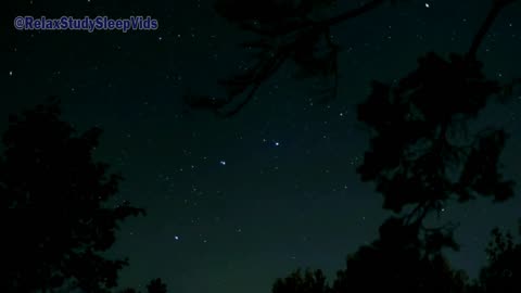 5 Hours of Forest Crickets Under a Starry Night.