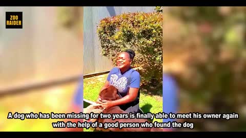 Missing Dog Finally Reunited With The Owner