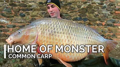 The Biggest CARP in Spain - Where do they live? The Top Lakes in Spain