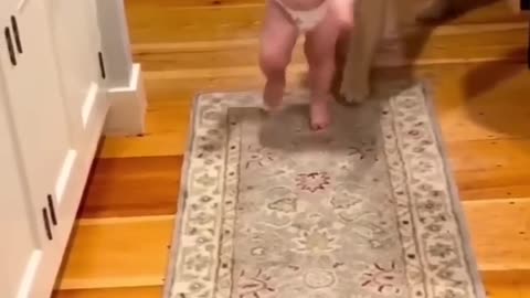 cut baby enjoy dog playing